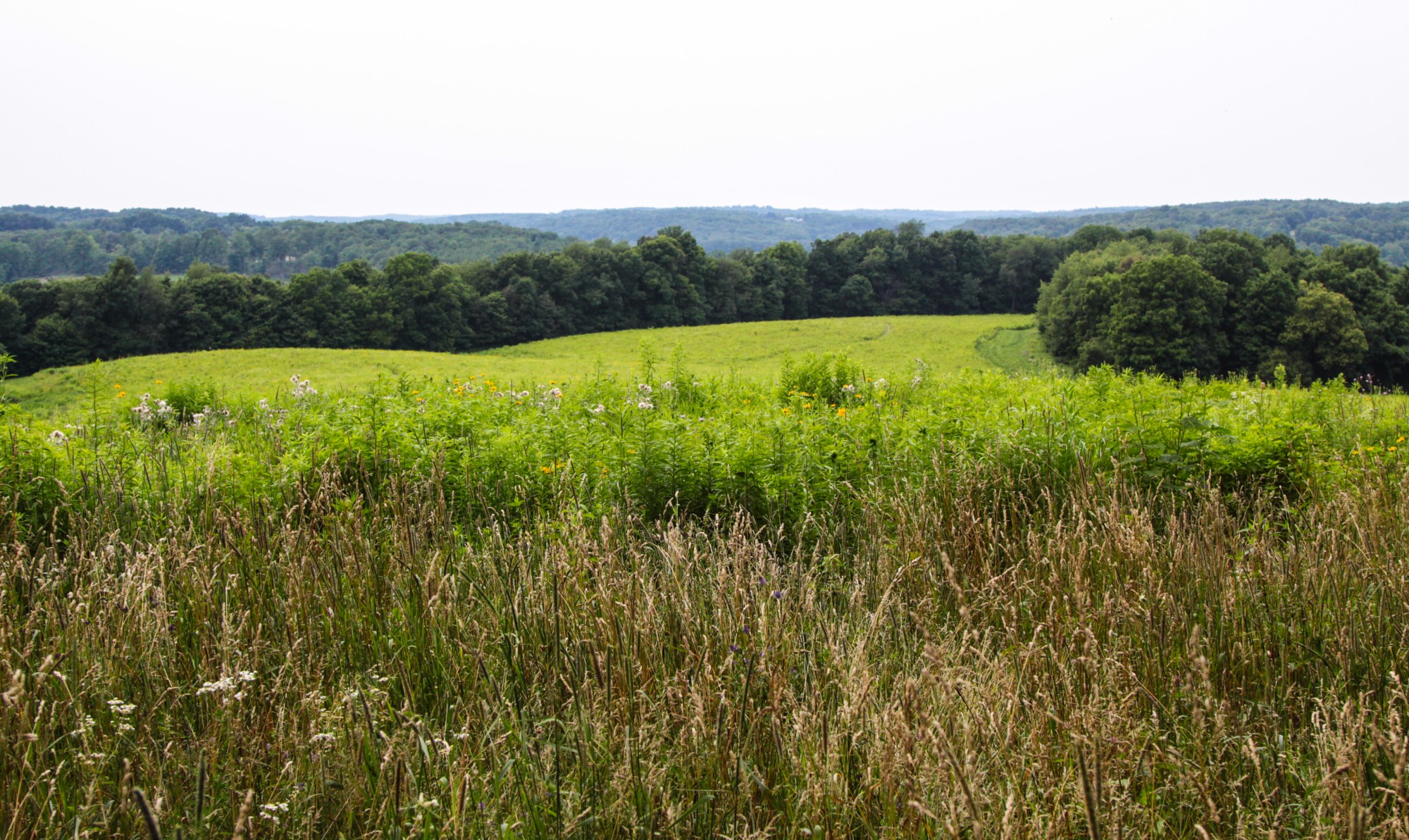 Protecting nature preserves is the mission of a new fund at the Foundation